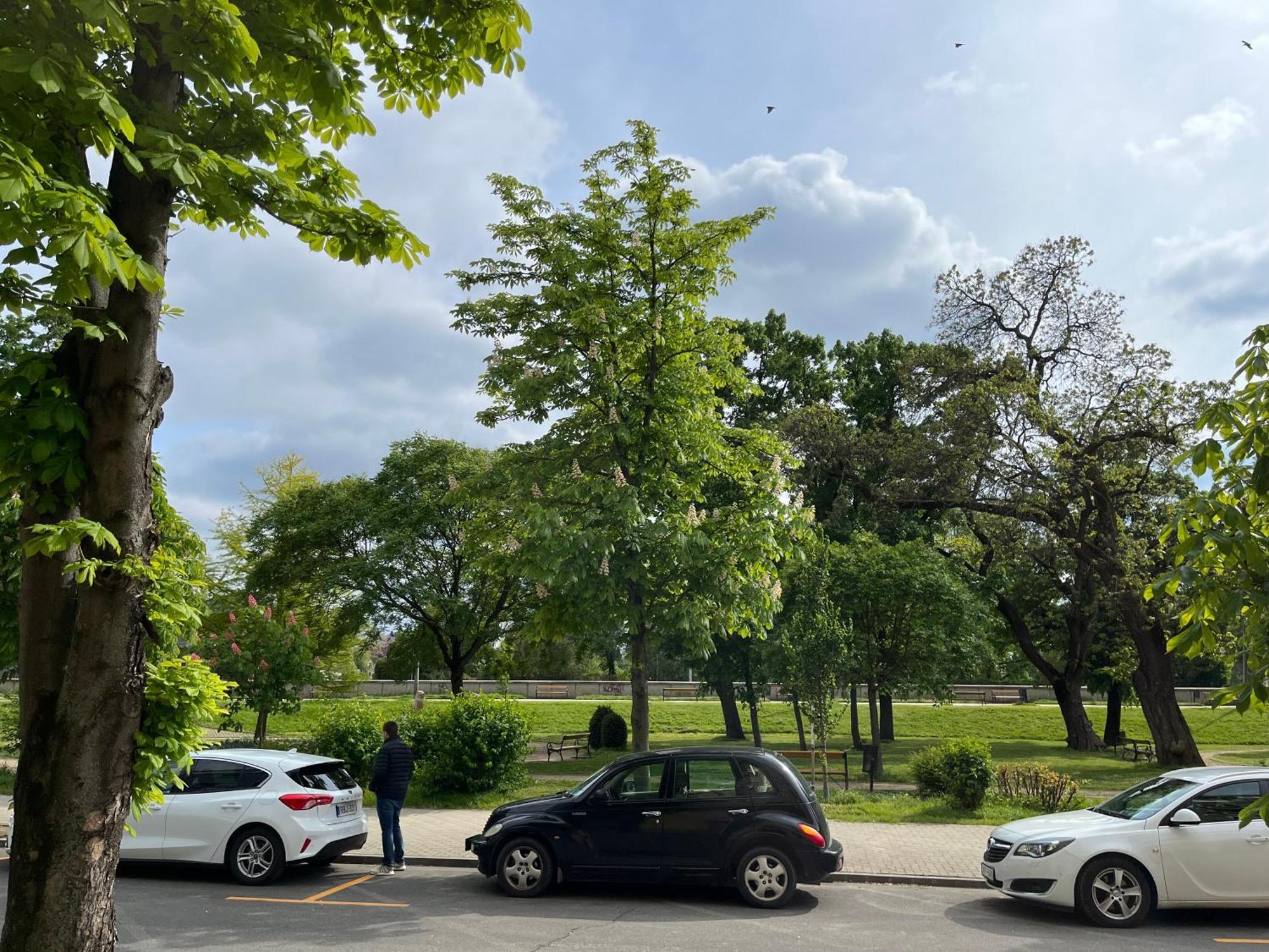 דירות גיור Panorama מראה חיצוני תמונה
